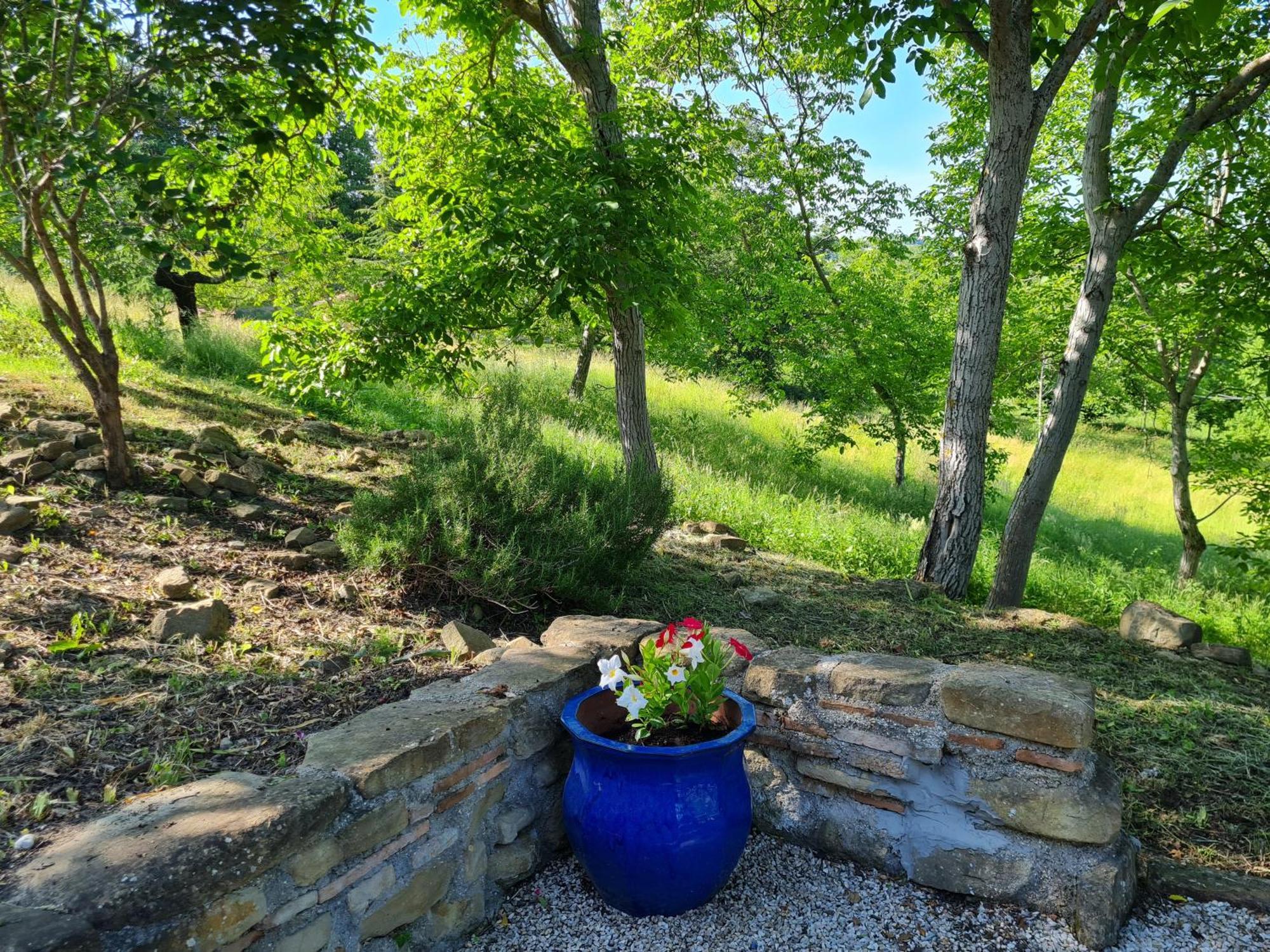 La Mela Rosa Bed & Breakfast Amandola Экстерьер фото